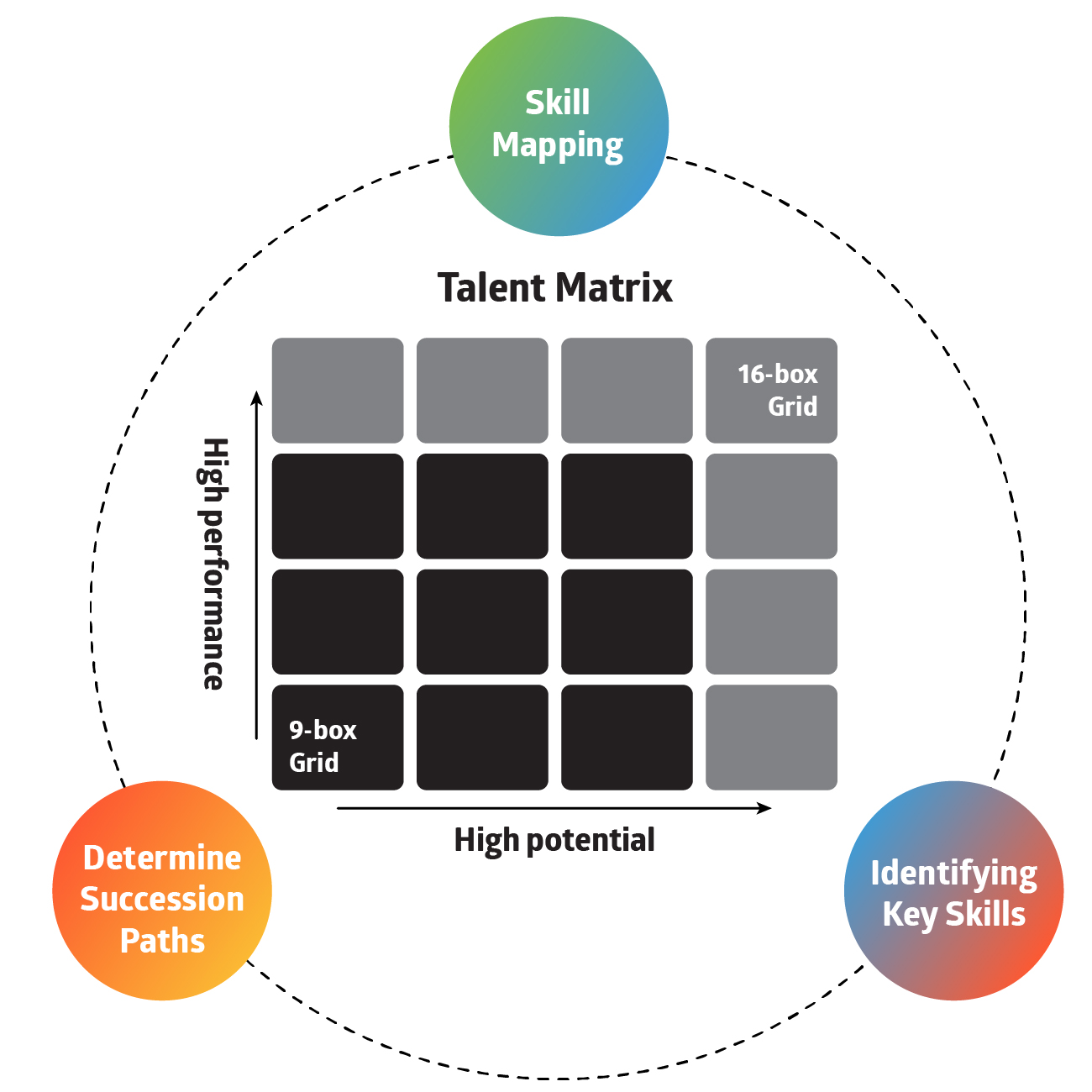 3 steps for Succession Planning on Microsoft Dynamics 365 talent matrix