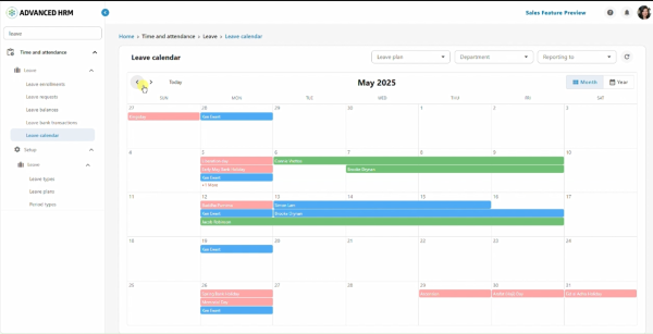 Screenshot of a month calendar showing all the national holidays and employee vacations in one view.